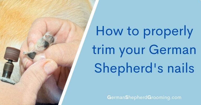 How to Properly Trim Your German Shepherd’s Nails