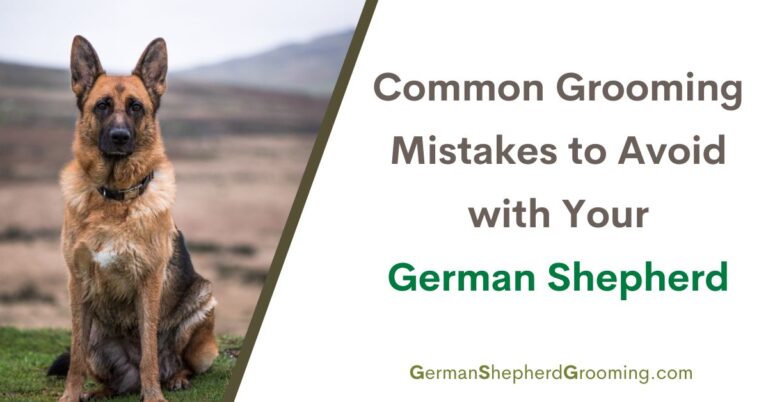 Common Grooming Mistakes